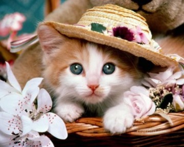  sombrero Pintura al %C3%B3leo - gato con sombrero